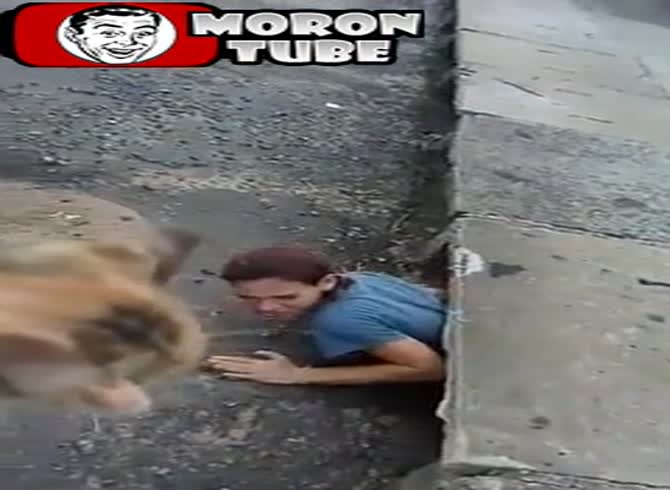Video :You'll never believe what this young girl did to save a kitten!